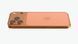 Apple iPhone 17 Pro 1TB Cosmic Orange (MG8Q4) фото 6