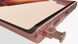 Samsung Galaxy Note 20 Ultra 12/128 GB Mystic Bronze (SM-N986U) фото 6