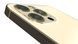 Apple iPhone 12 Pro Max 128GB Gold (MGD93) фото 3
