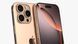 Apple iPhone 16 Pro 256GB Desert Titanium (MYNK3) фото 3