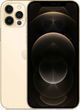 Apple iPhone 12 Pro Max 256GB Gold (MGDE3) фото